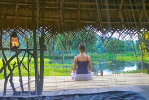 Sri Lanka Wellness Tour
